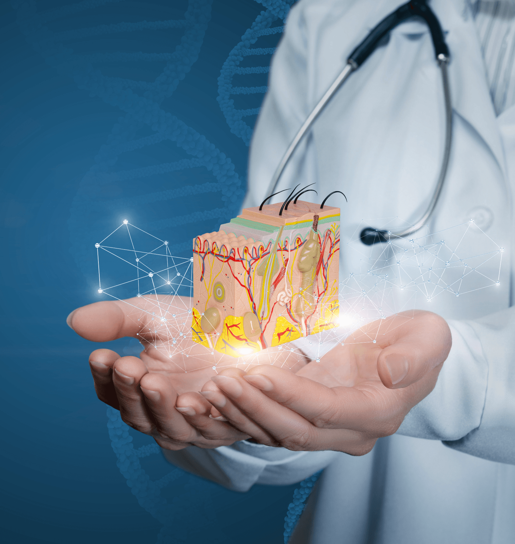 Medical illustration